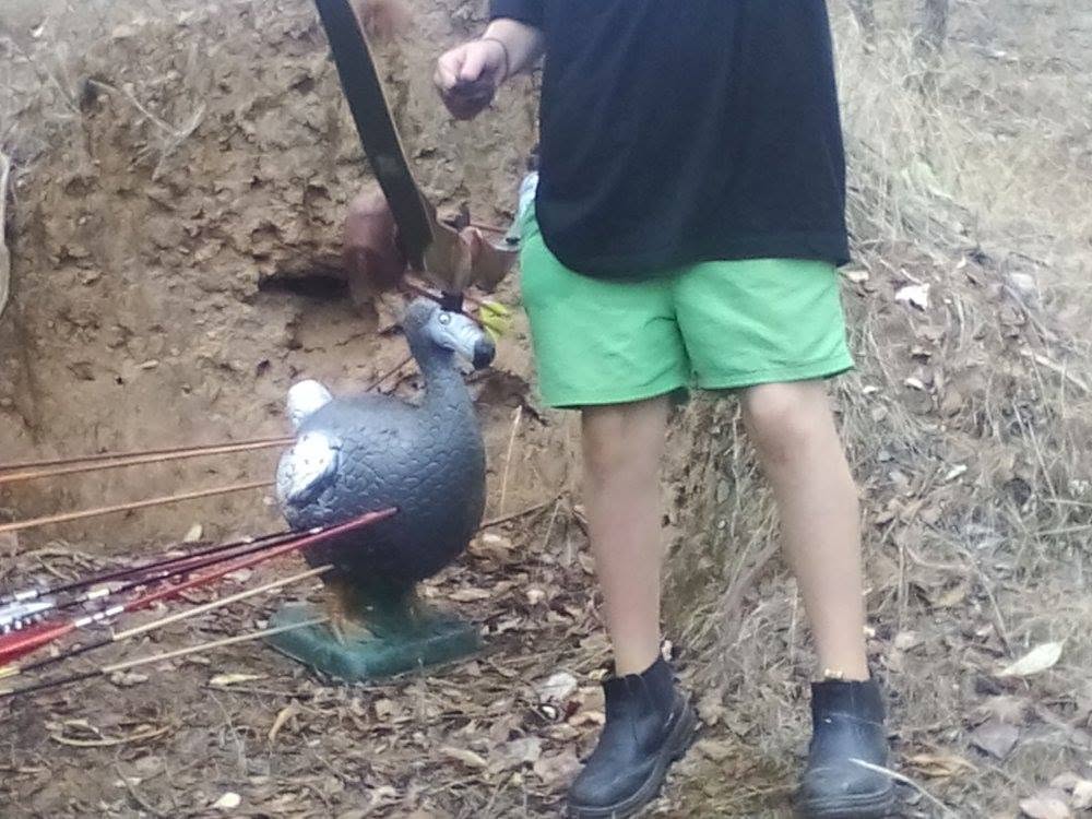 3D Archery Target Practice