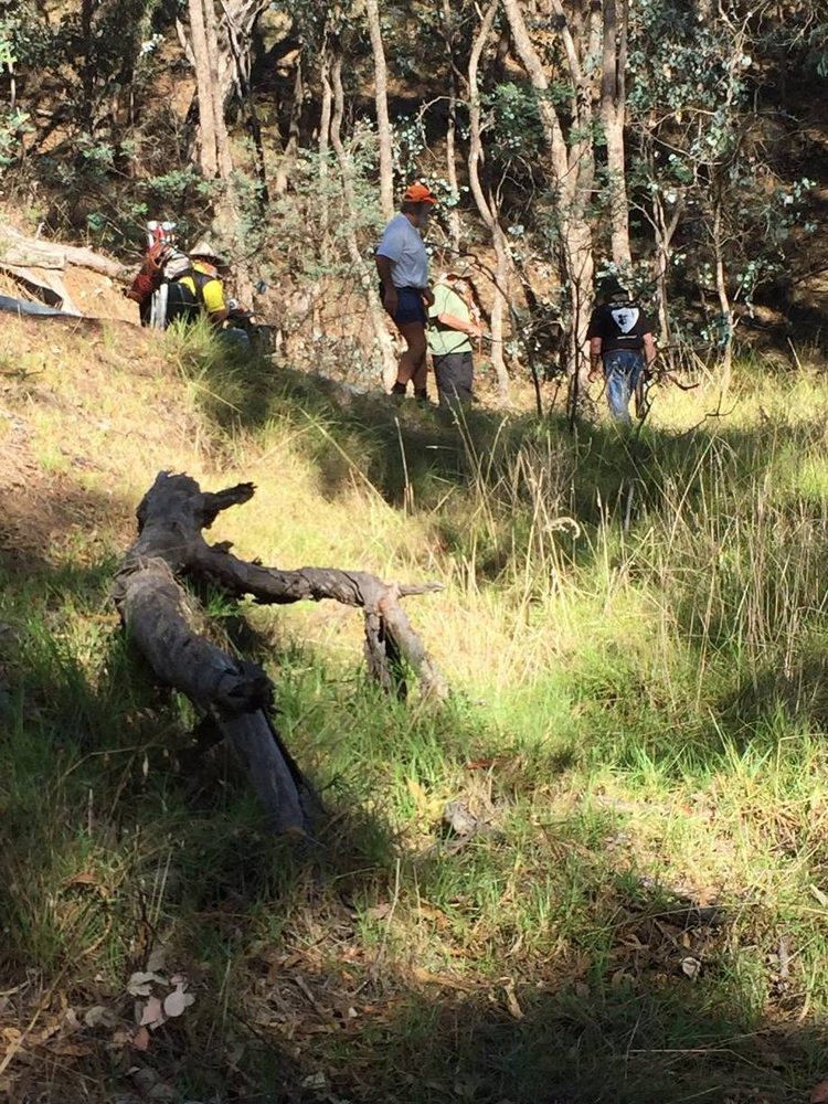 Archers in Bushland Setting