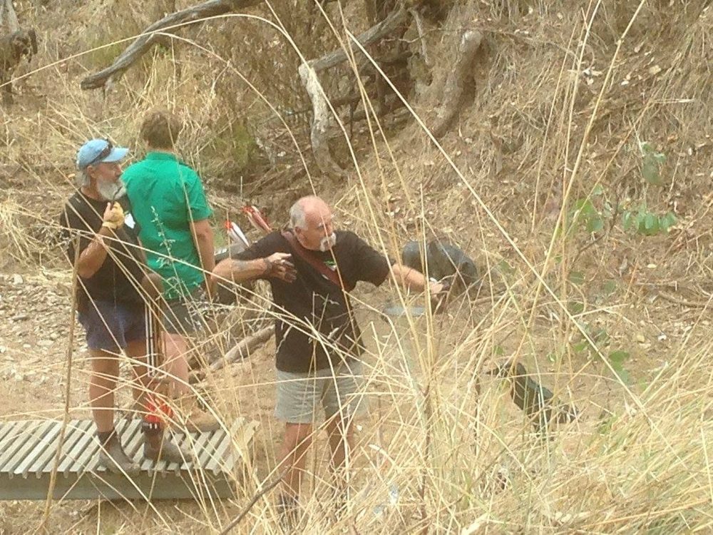Archers in Bushy Terrain