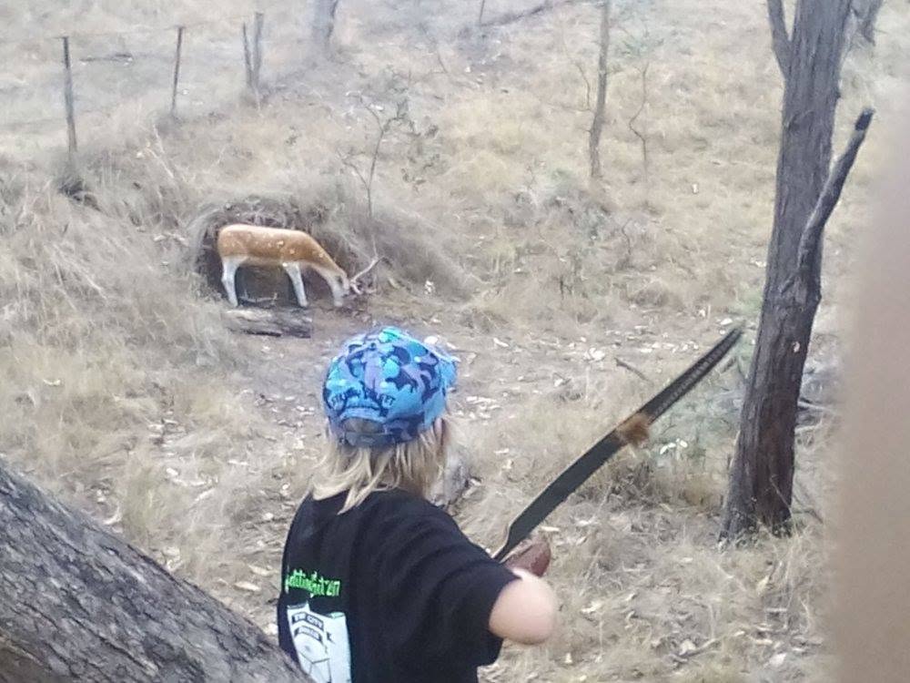 Archery and Wildlife Encounter