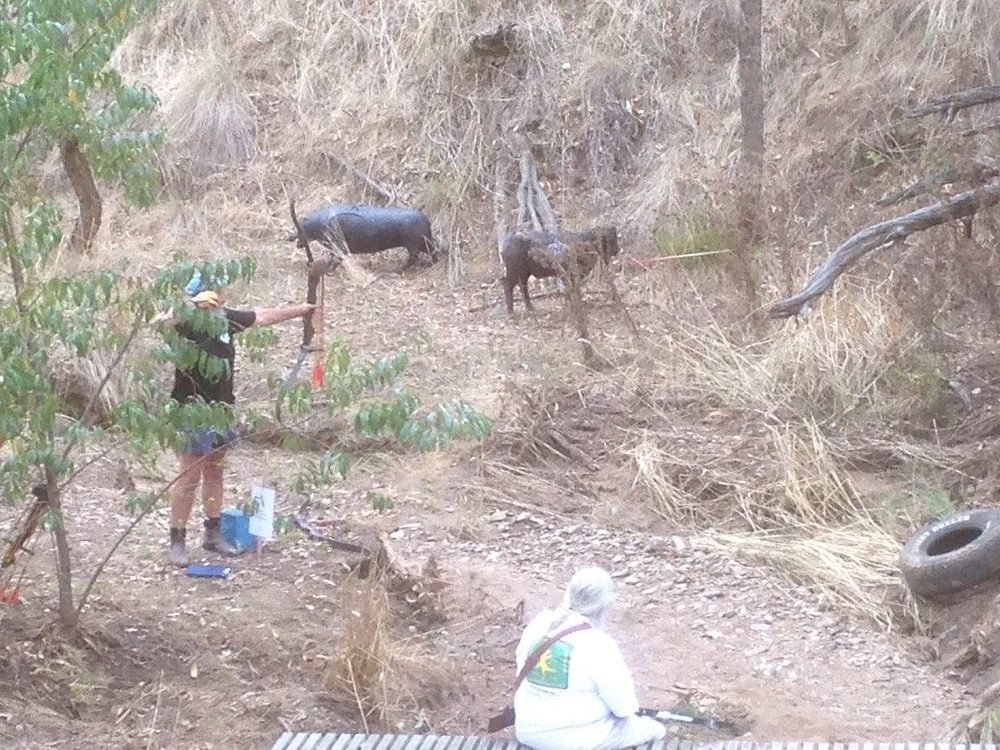 Archery in Bushland Setting