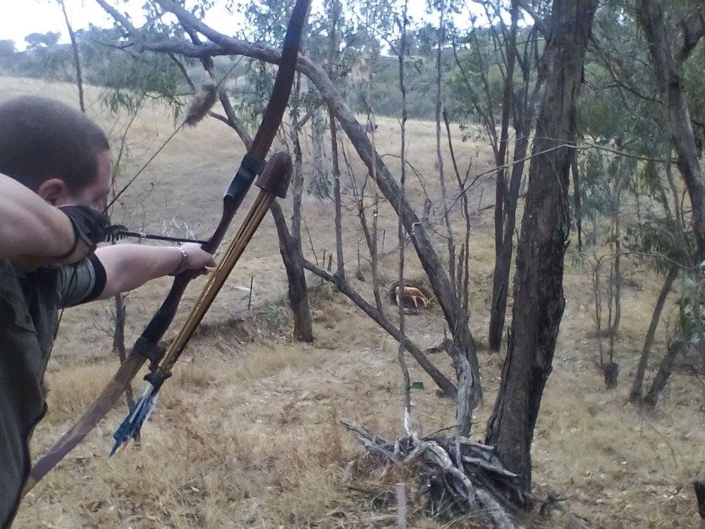 Archery in Bushland Setting