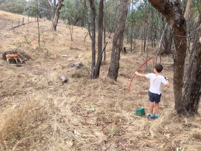 Archery Practice in Bushland