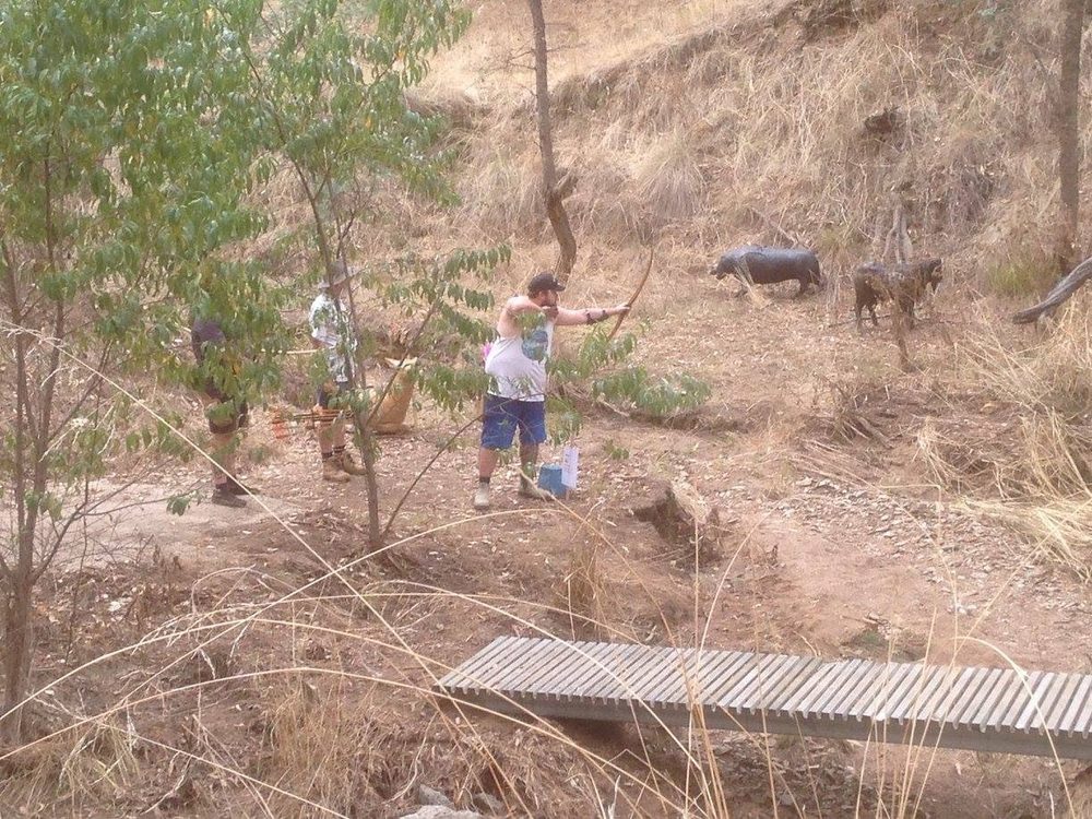 Archery Practice in Bushland