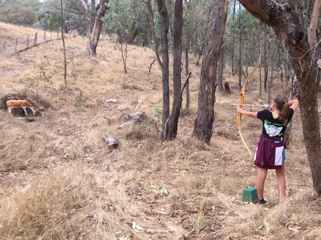 Archery Practice in Bushland