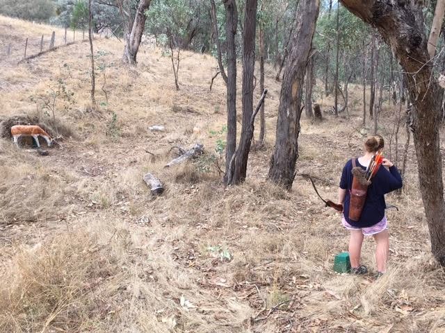 Archery Practice in Bushland