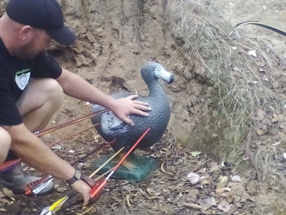 Archery Practice with Bird Target