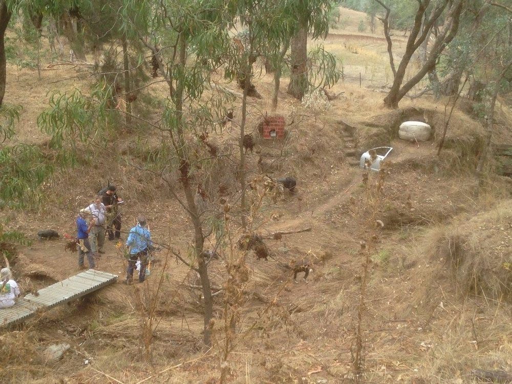Archery Range in Bushland