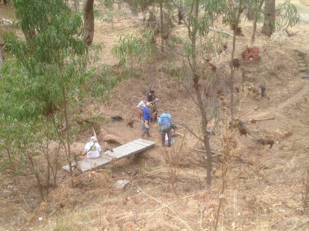 Archery Range in Bushland