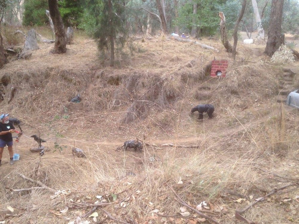 Archery Range in Bushland