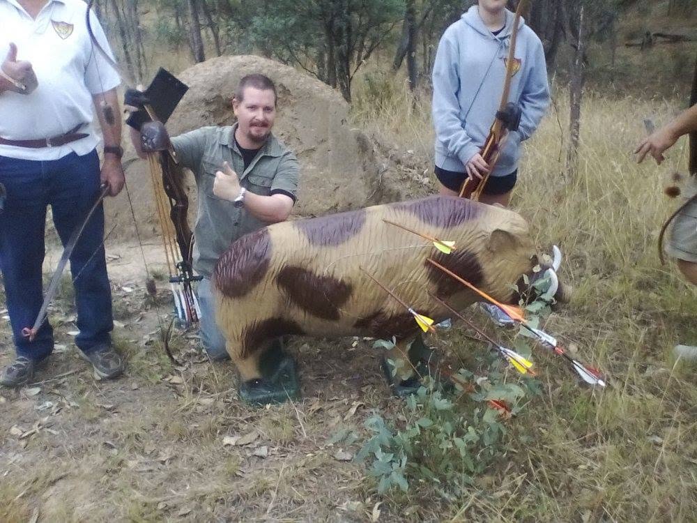 Archery Target - Boar