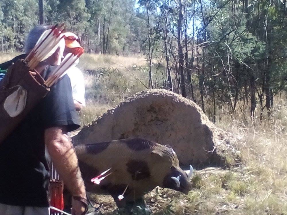 Archery Target in Bushland