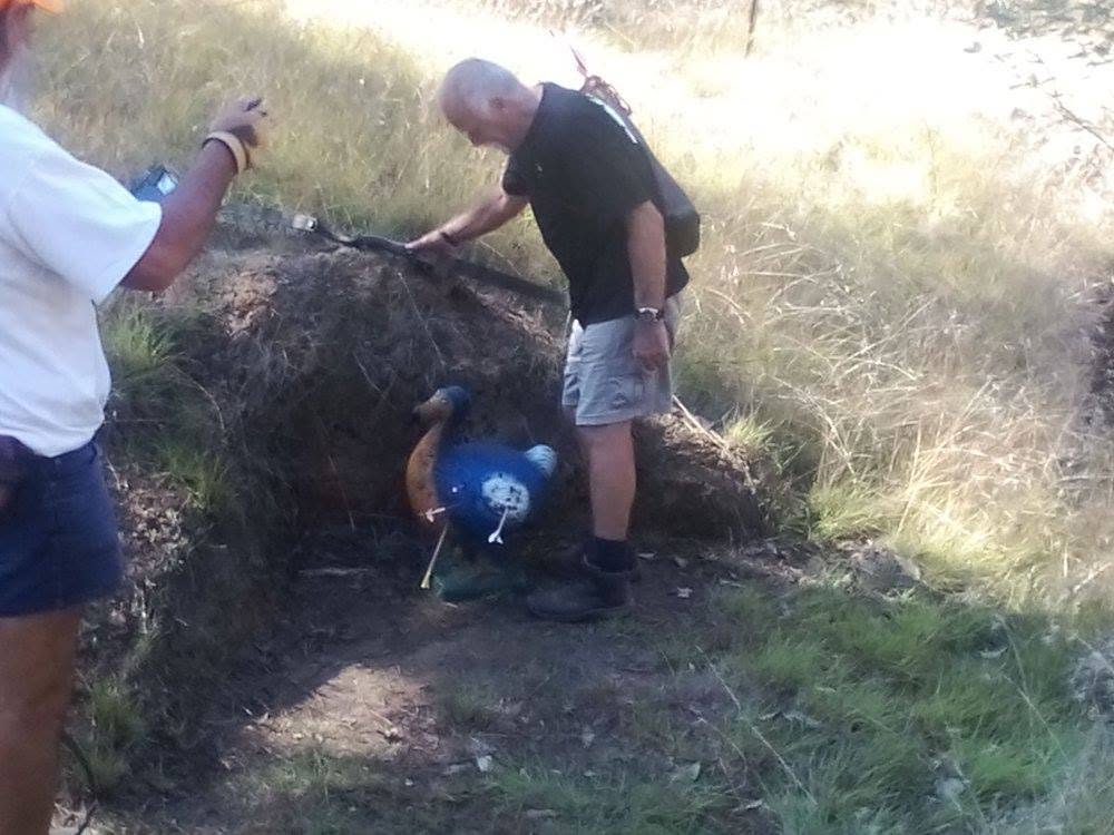 Archery Target Retrieval
