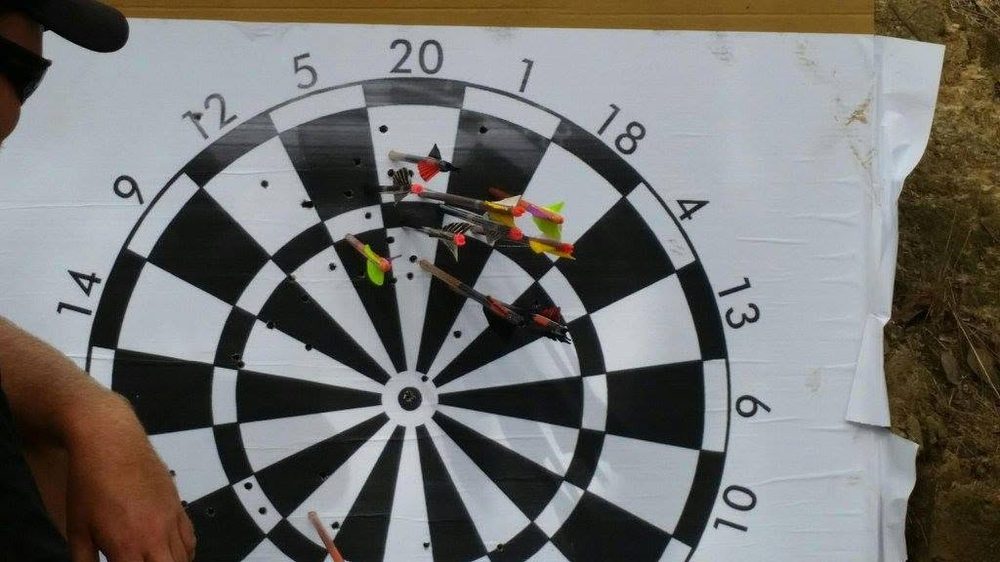 Archery Target with Arrow Impacts