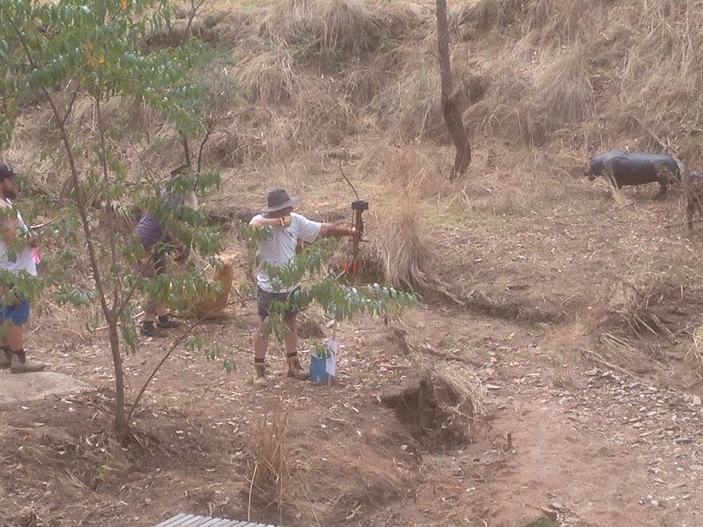 Field Archery in Action