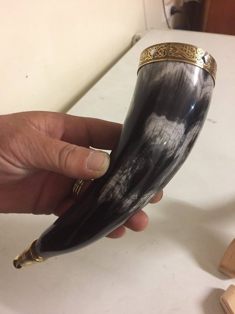 Viking Horn at Twin City